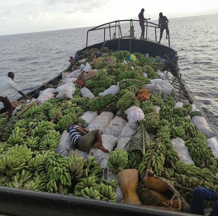 image À quelques semaines du ramadan, la banane se fait rare à Mohéli